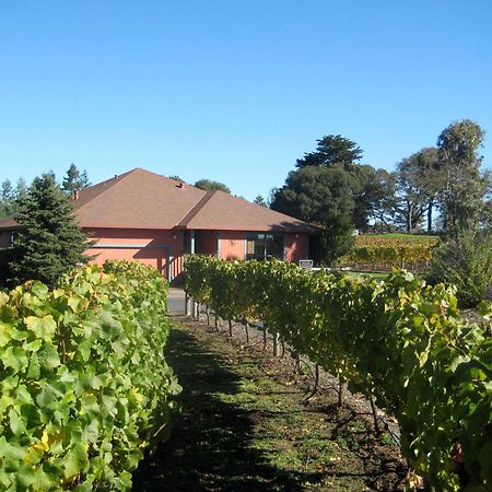 Pearlessence Vineyard Inn Sebastopol Eksteriør billede