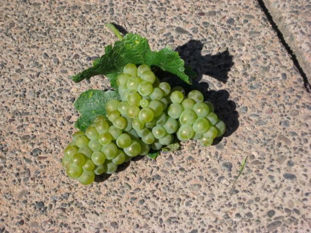 Pearlessence Vineyard Inn Sebastopol Eksteriør billede
