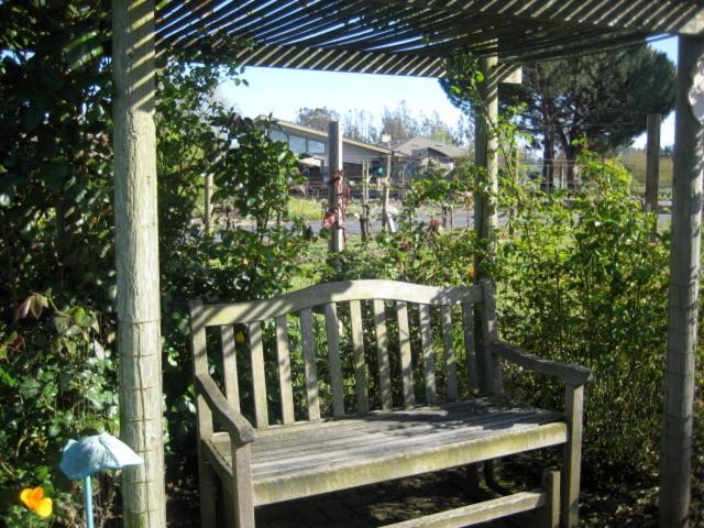 Pearlessence Vineyard Inn Sebastopol Eksteriør billede